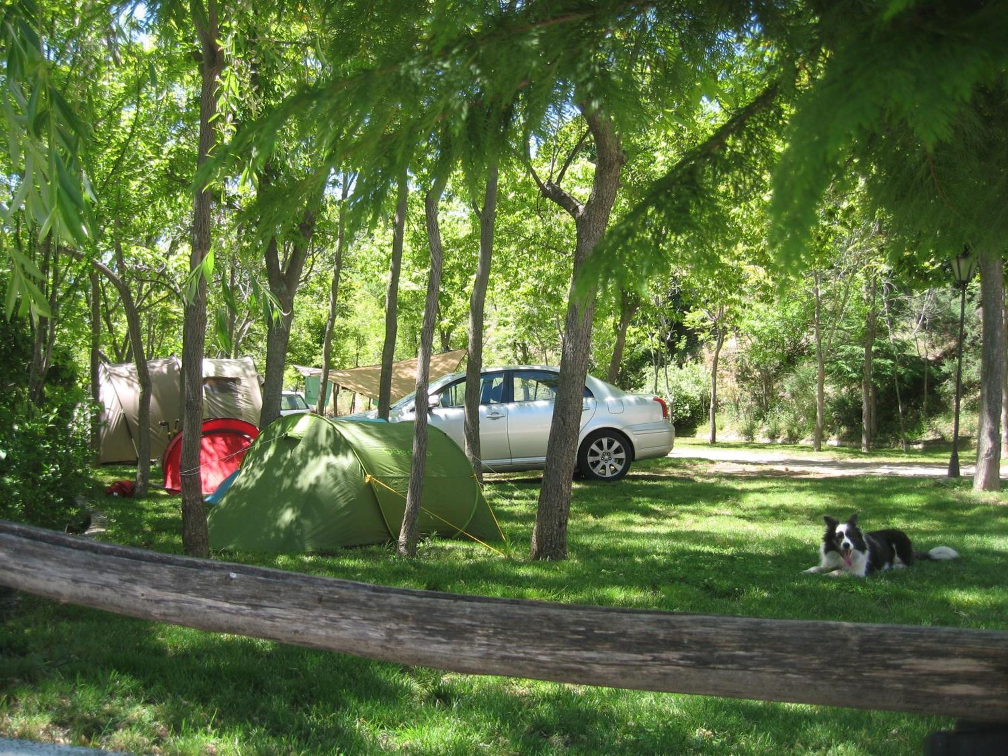 Camping 2*