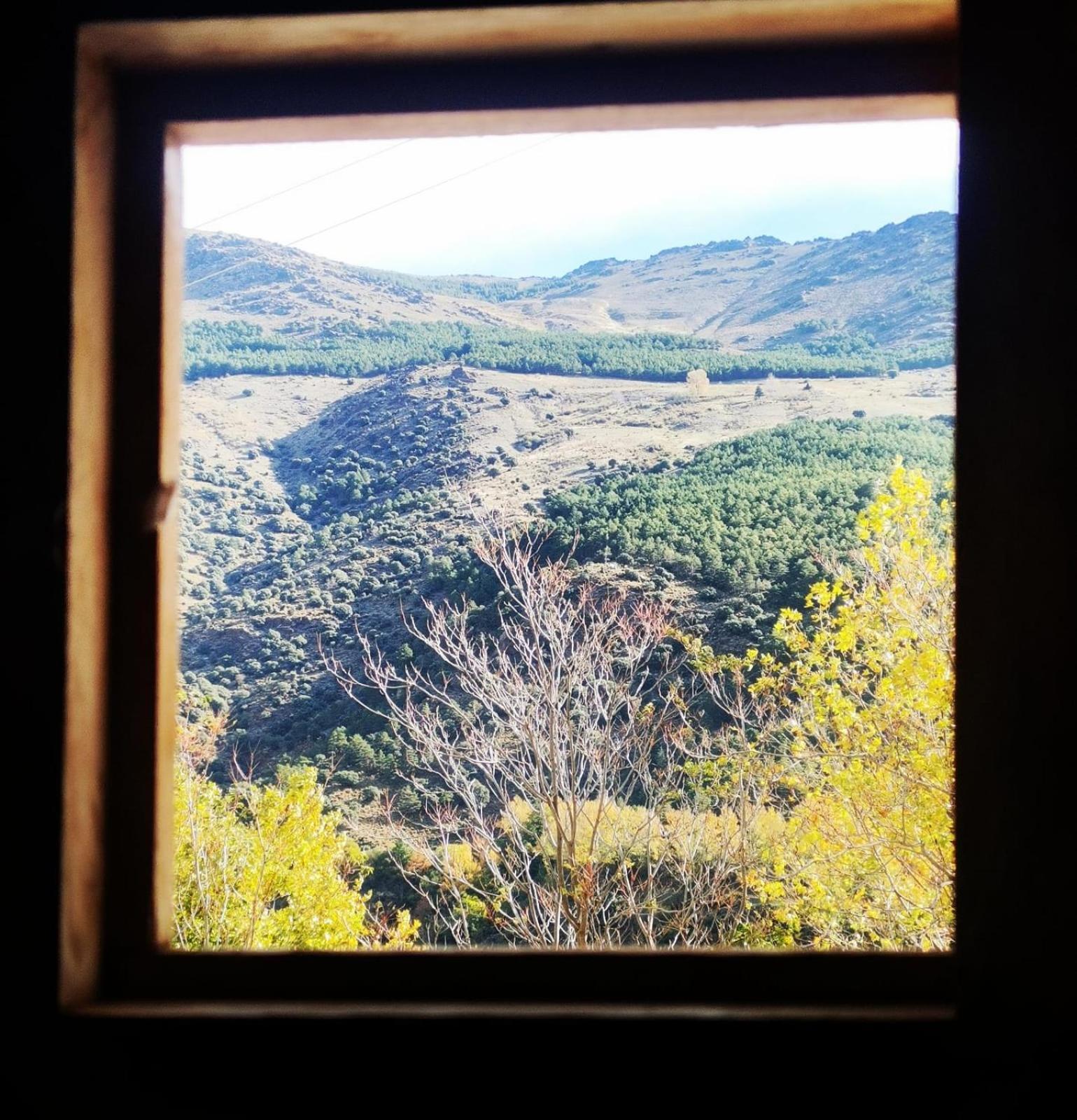 Camping 2* Trevélez